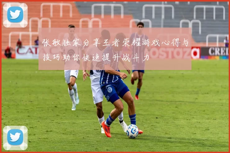 张敏独家分享王者荣耀游戏心得与技巧助你快速提升战斗力