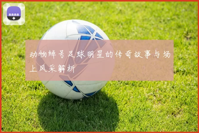 动物绰号足球明星的传奇故事与场上风采解析