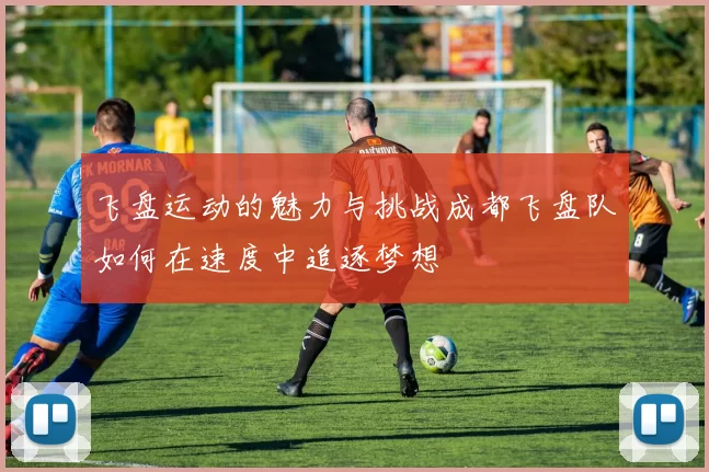 飞盘运动的魅力与挑战成都飞盘队如何在速度中追逐梦想