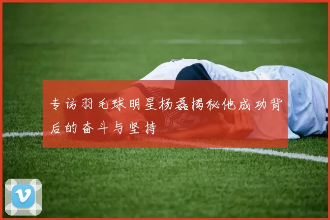 专访羽毛球明星杨磊揭秘他成功背后的奋斗与坚持
