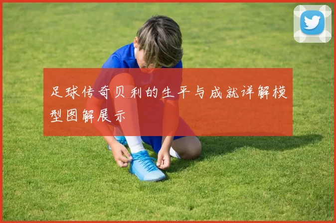 足球传奇贝利的生平与成就详解模型图解展示