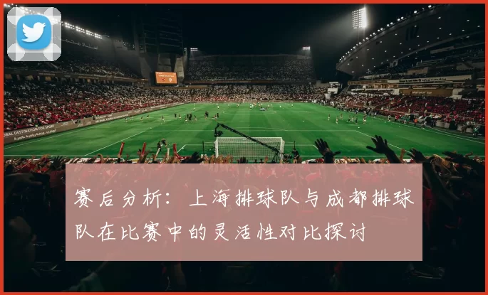 赛后分析：上海排球队与成都排球队在比赛中的灵活性对比探讨
