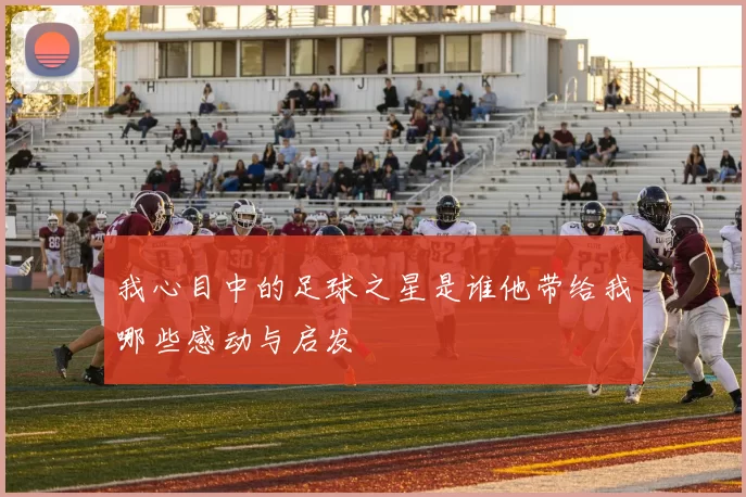 我心目中的足球之星是谁他带给我哪些感动与启发