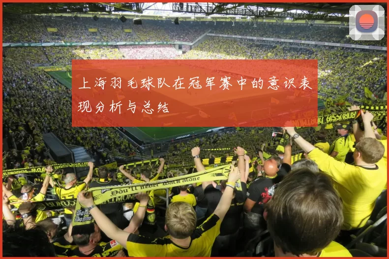 上海羽毛球队在冠军赛中的意识表现分析与总结