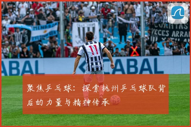 聚焦乒乓球：探索杭州乒乓球队背后的力量与精神传承