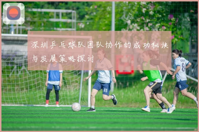 深圳乒乓球队团队协作的成功秘诀与发展策略探讨