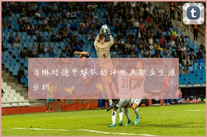 马琳对德甲球队的评价及职业生涯分析
