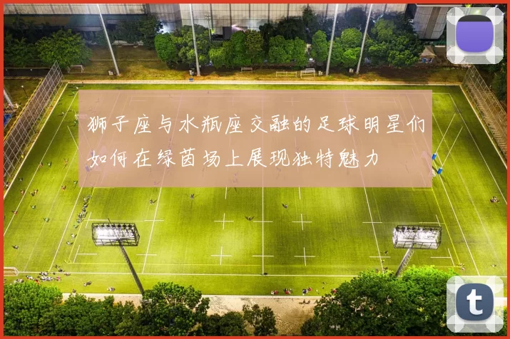 狮子座与水瓶座交融的足球明星们如何在绿茵场上展现独特魅力
