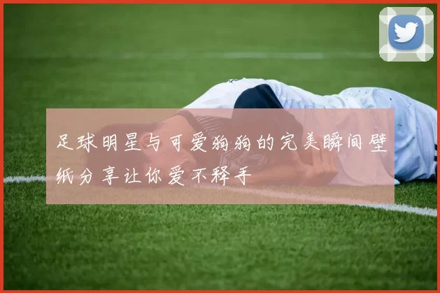 足球明星与可爱狗狗的完美瞬间壁纸分享让你爱不释手
