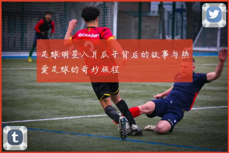 足球明星八斤瓜子背后的故事与热爱足球的奇妙旅程